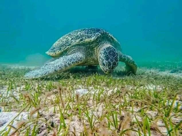 whatsapp image 2025 09 09 at 06.18.34 (2)