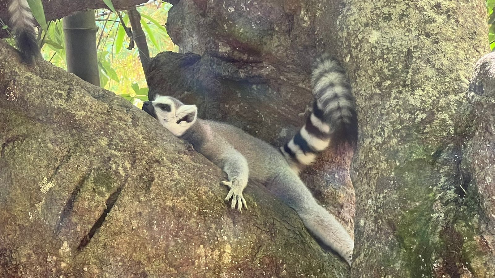 whatsapp image 2025 09 16 at 18.01.04